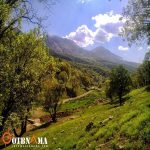 برای جنگل نوردی چه کار های لازم هست